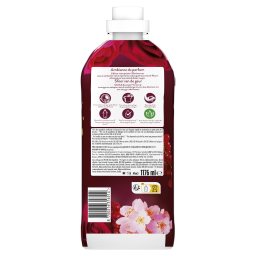 LENOR | Συμπυκνωμένο Μαλακτικό Ruby Jasmine 56 Μεζούρες