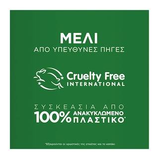 BOTANIC THERAPY | Σαμπουάν Honey Treasures Φθαρμένα Μαλλιά 400ml