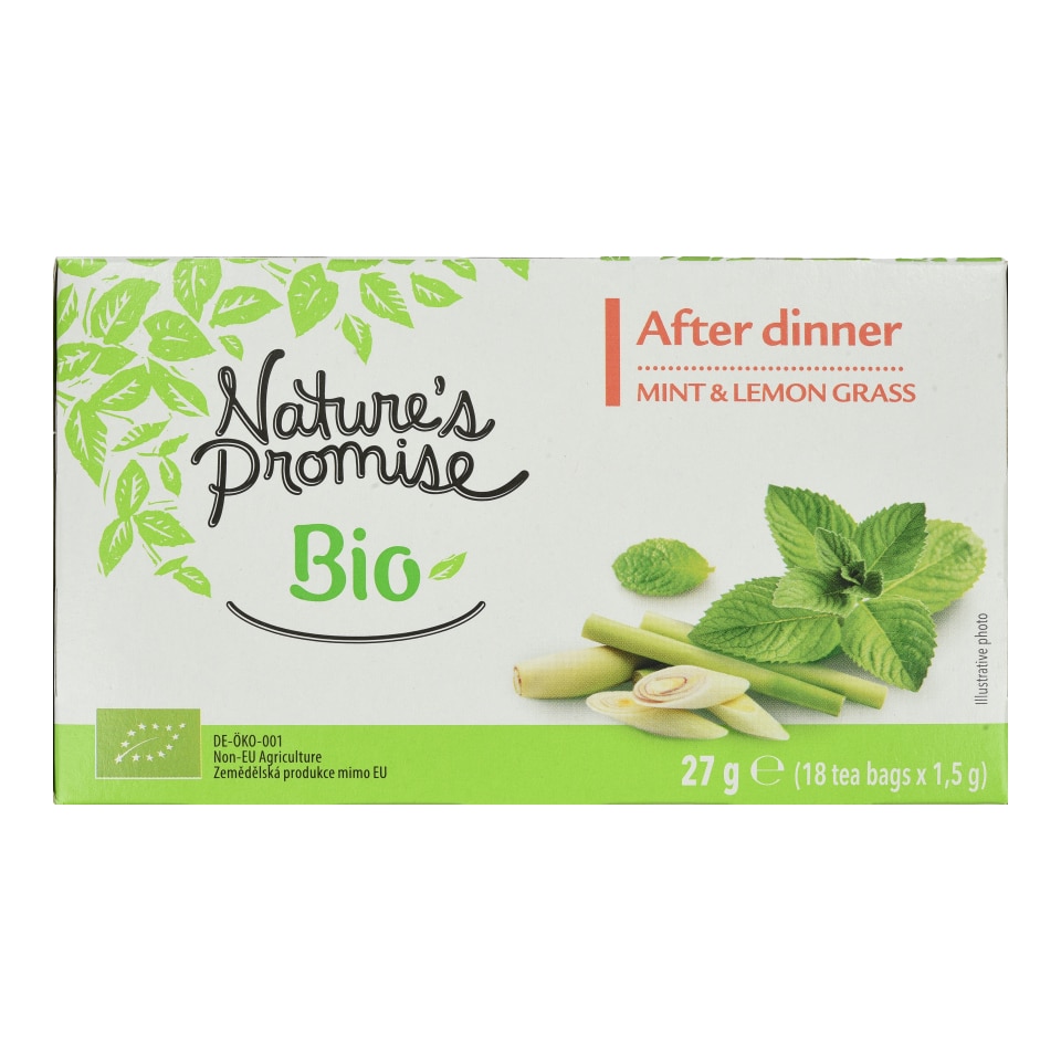 NATURES PROMISE BIO Αφέψημα Bio με Μέντα και Λεμονόχορτο 27g