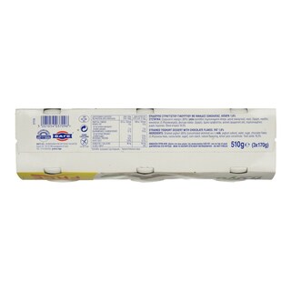 FRUYO | ΣΤΡΑΤΣΙΑΤΕΛΑ  340GR