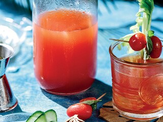 Mary drinks gin