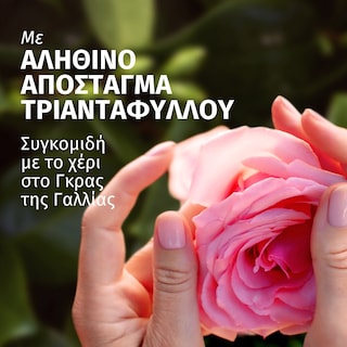 HERBAL ESSENCES | Σαμπουάν Rose Scent 350ml