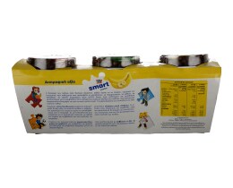 SMART | YOGHURT WITH FRUITS ΜΠΑΝΑΝΑ 2 X 145 GR