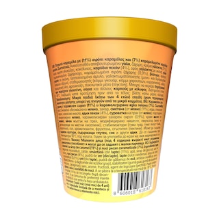 NIRVANA | Παγωτό Pralines & Cream 310g