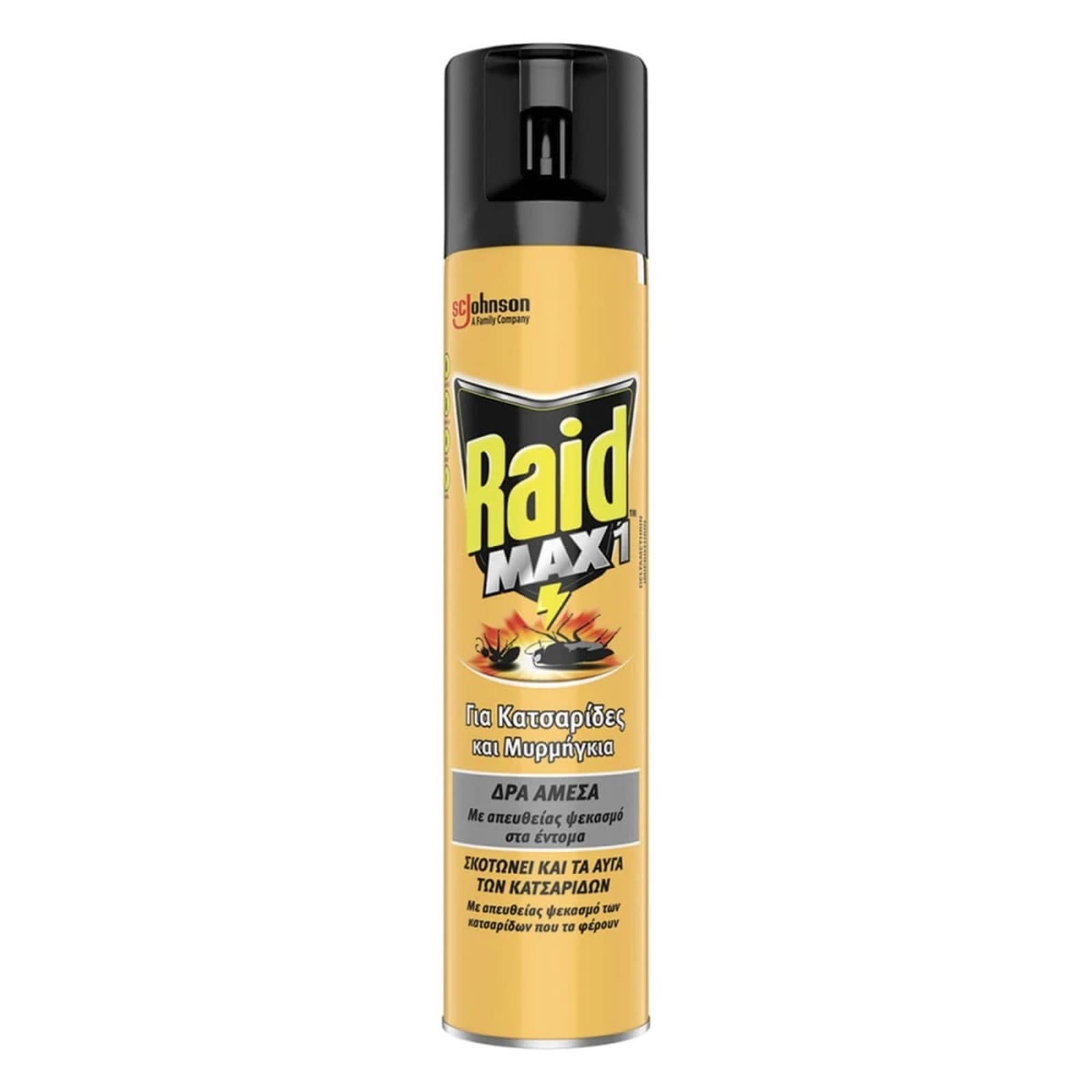 RAID Εντομοκτόνο Spray Max1 Κατσαρίδες Μυρμήγκια 300ml