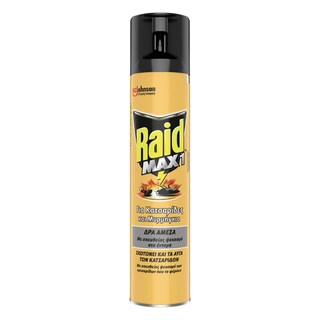 RAID | Εντομοκτόνο Spray Max1 Κατσαρίδες Μυρμήγκια 300ml