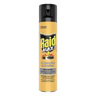 RAID | Insecticide Spray Max1 Cockroaches Ants 300ml