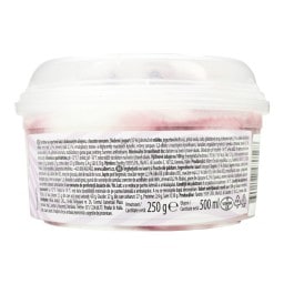 DREAM & CO | Παγωτό Frozen Yogurt Forest Fruits 250g