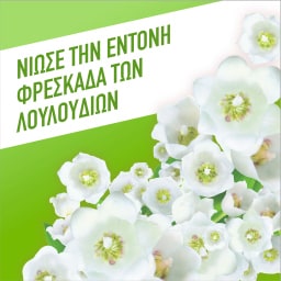 AJAX | Υγρό Καθαρισμού Fete Des Fleurs Λουλούδια Άνοιξης 2x1lt