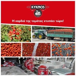ΚΥΚΝΟΣ | Tomato Paste Double Concentrated 410g