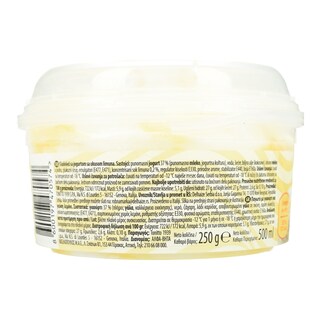 DREAM & CO | Παγωτό Frozen Yogurt Lemon 250g
