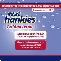 WET HANKIES | Αντιβακτηριδιακά Μαντηλάκια 4x15 Τεμάχια