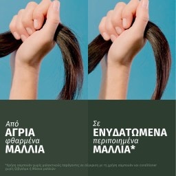 HERBAL ESSENCES | Conditioner Coconut Milk 250ml
