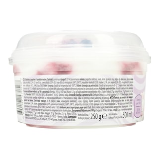 DREAM & CO | Παγωτό Frozen Yogurt Forest Fruits 250g