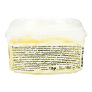 DREAM & CO | Παγωτό Frozen Yogurt Lemon 250g