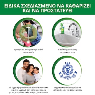 DETTOL | Κρεμοσάπουνο Wild Berries Ανταλλακτικό 750ml