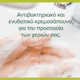 PALMOLIVE | Κρεμοσάπουνο Hygiene Plus Ανταλλακτικό 750ml