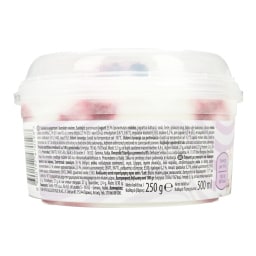 DREAM & CO | Παγωτό Frozen Yogurt Forest Fruits 250g