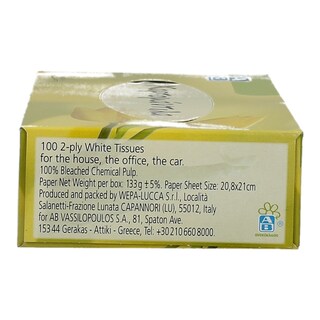 ΑΒ | TISSUES FACIAL 2PLY 100PCS 100PCS