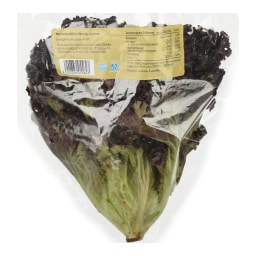 ΑΒ | Red Curly Salad Greek 1 Piece