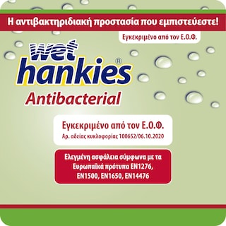 WET HANKIES | Αντιβακτηριδιακά Μαντηλάκια Πράσινο Μήλο 4x15 Τεμάχια