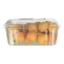 - | Apricot Diamantopoulou Bio