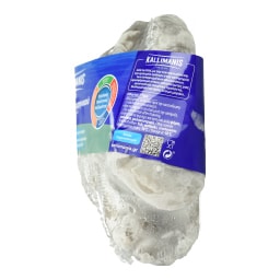 KALLIMANIS | Χταπόδι Ολόκληρο Ινδοειρηνικού Κατεψυγμένο