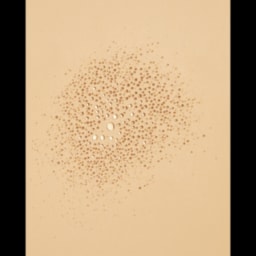 NIVEA | Sunscreen Oil Spray Protect & Bronze SPF30 200ml