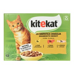 KITE KAT