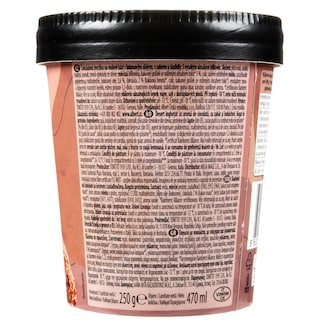 DREAM & CO | Παγωτό Protein Σοκολάτα 250g