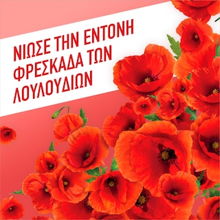 AJAX | FETE DES FLEURS | Καθαριστικό Πατώματος Γιορτή Λουλουδιών Αγριολούλουδα 1lt