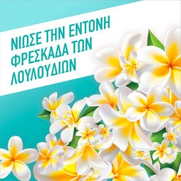 AJAX | FETE DES FLEURS | Καθαριστικό Πατώματος Γιορτή Λουλουδιών Λουλούδια της Λίμνης 1lt