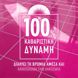 AJAX | Καθαριστικό Πατώματος Γιορτή Λουλουδιών Ρόδο της Αυγής 2x1lt