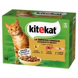 KITE KAT | Γατοτροφή Κοτόπουλο Μοσχάρι Σολομός 12x85g