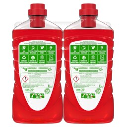 AJAX | Υγρό Καθαρισμού Fete Des Fleurs Αγριολούλουδα 1lt 1+1 Δώρο