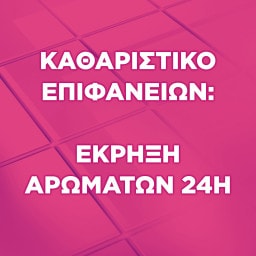 FABULOSO | Καθαριστικό Πατώματος Φρεσκάδα Λουλουδιών 1lt
