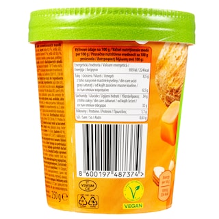 DREAM & CO | Παγωτό Caramel & Salt Vegan 250g