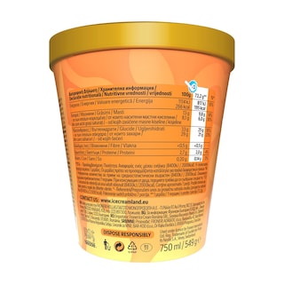 NIRVANA | Παγωτό Pralines & Cream 549g