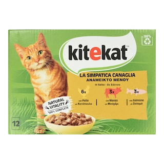 KITE KAT