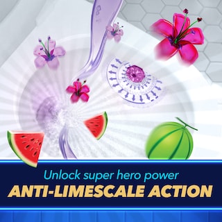 DUCK | WC Block Fresh Discs Mint Mission 36ml