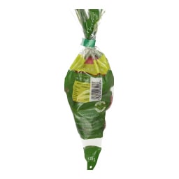 - | ΡΑΠΑΝΑΚΙΑ ΤΕΜΑΧΙΟ ΕΛΛΗΝΙΚΑ