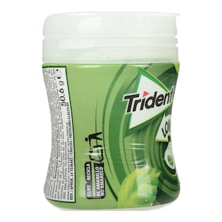 TRIDENT | Τσίχλες Long Lasting Δυόσμος 50.6g