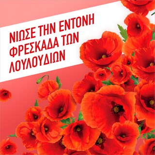 AJAX | Υγρό Καθαρισμού Fete Des Fleurs Αγριολούλουδα 1lt 1+1 Δώρο
