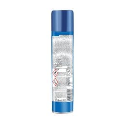 RAID | Εντομοκτόνο Spray Κουνούπια Μύγες 300ml