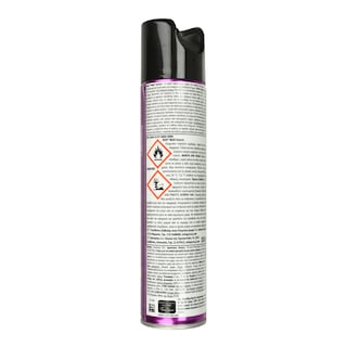 RAID | Εντομοκτόνο Spray Multi Insects 300ml