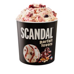 SCANDAL | Παγωτό Παρφέ Βανίλια 478g