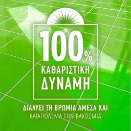 AJAX | Υγρό Καθαρισμού Fete des Fleurs Λουλούδια Άνοιξης 2x1lt 80% στο 2o