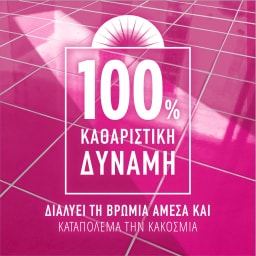 AJAX | Καθαριστικό Πατώματος Γιορτή Λουλουδιών Ρόδο της Αυγής 2x1lt