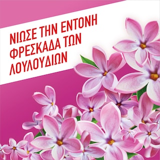 AJAX | Υγρό Καθαρισμού Fete Des Fleurs Άνθη Πασχαλιάς 1lt 1+1 Δώρο