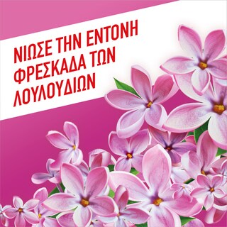 AJAX | Υγρό Καθαρισμού Fete Des Fleurs Άνθη Πασχαλιάς 1lt 1+1 Δώρο